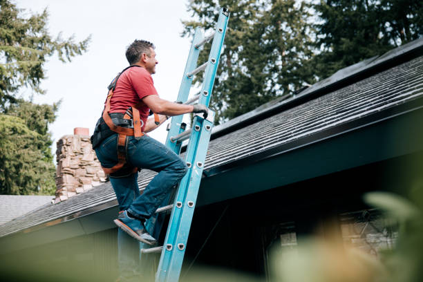 Best Roof Inspection  in USA